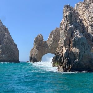 Meet your Posher, Will